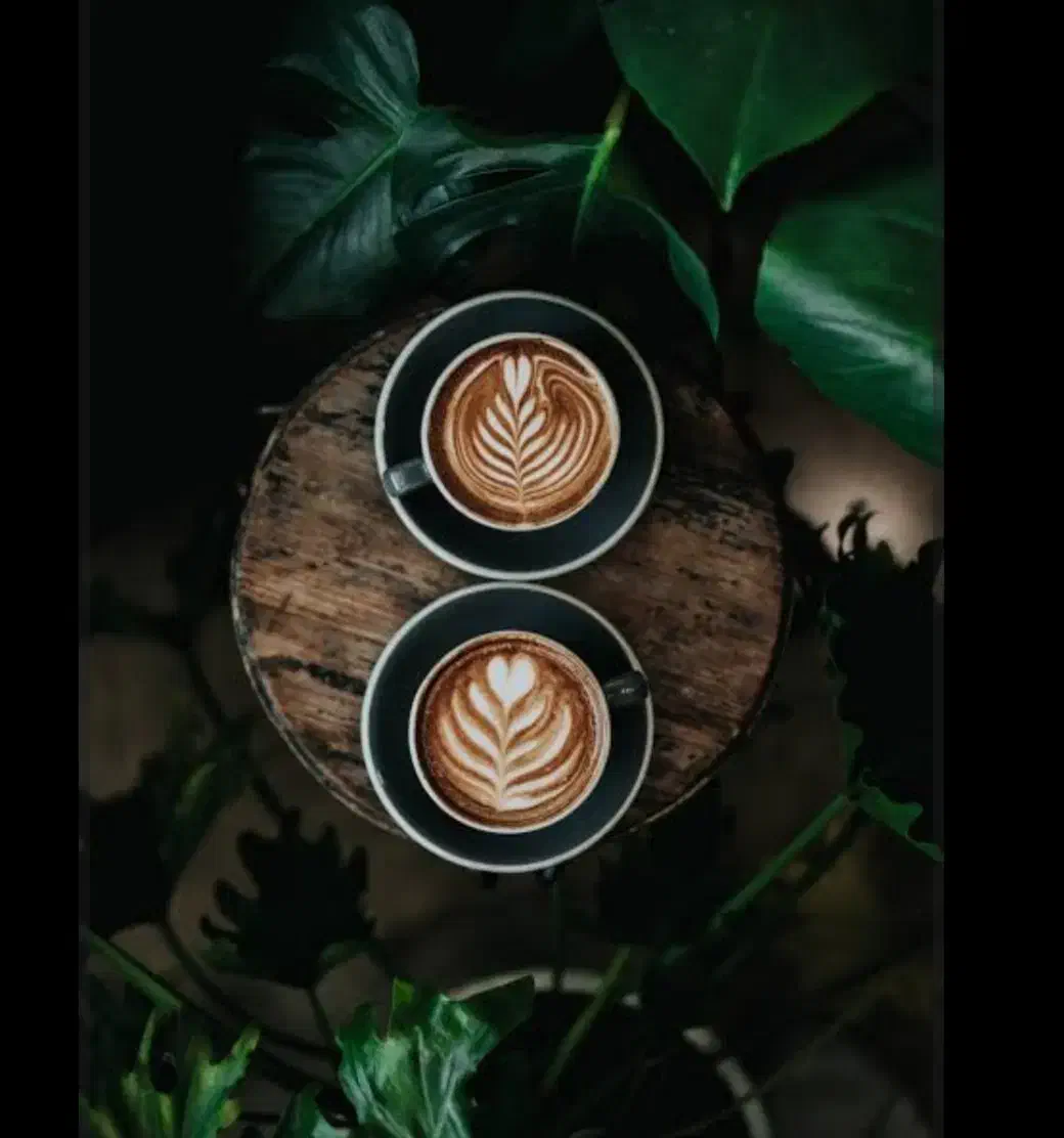 مافیا|گردهمایی و همایش|رشت, معلم|دیوار