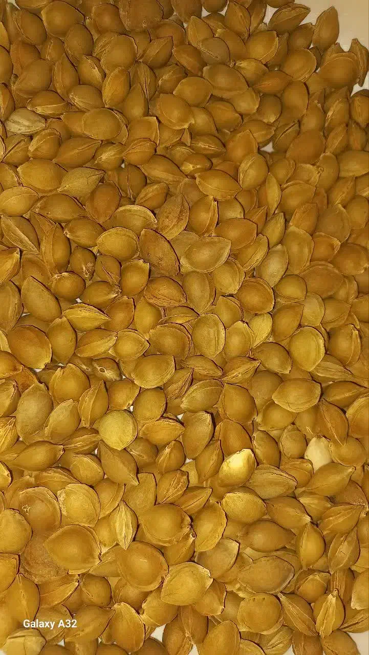 تخمه|خوردنی و آشامیدنی|بسطام, |دیوار