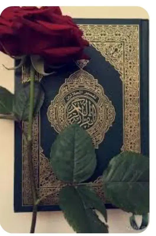 دعا ودعانویسی|کتاب و مجله مذهبی|مشهد, فرهنگ|دیوار