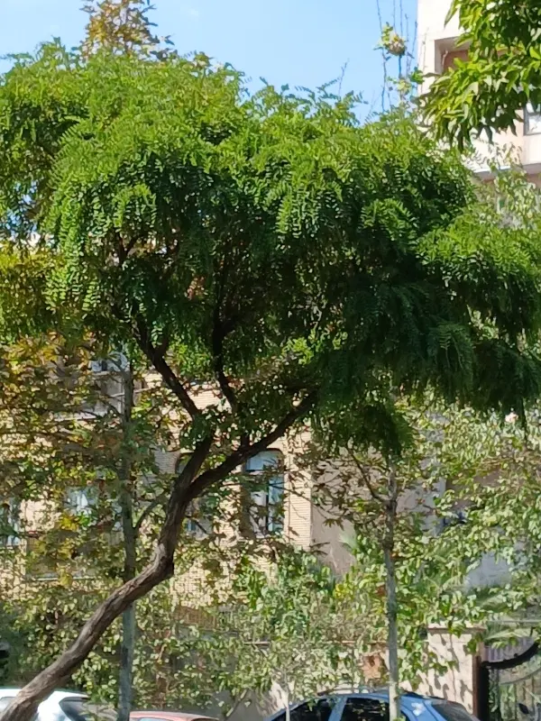 ۱۰۰ متر کلنگی ظفر دلیری با دستور نقشه|فروش زمین و ملک کلنگی|تهران, ظفر|دیوار