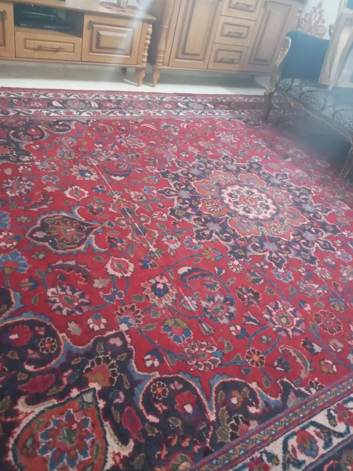 قالی فرش دستباف|فرش|گلبهار, شهر جدید گلبهار|دیوار