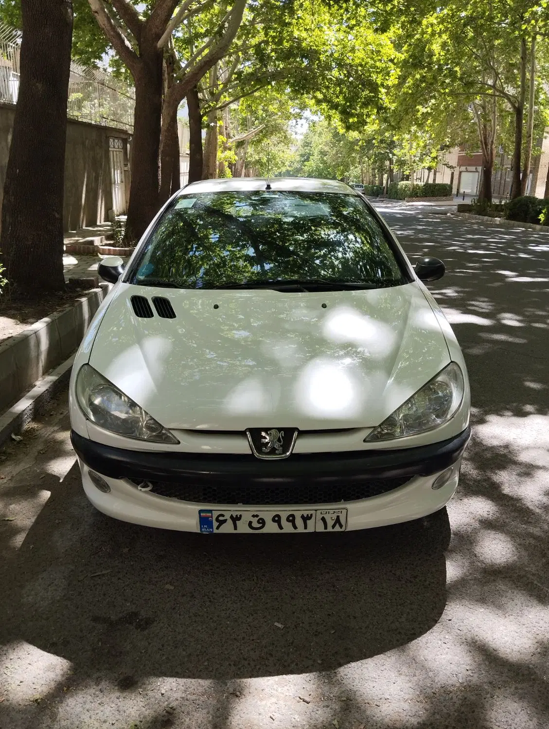 206sd بیرنگ v8|خودرو سواری و وانت|همدان, |دیوار