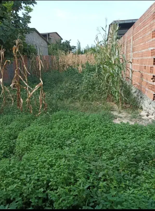 زمین خانه سری|فروش زمین و ملک کلنگی|نوکنده, |دیوار