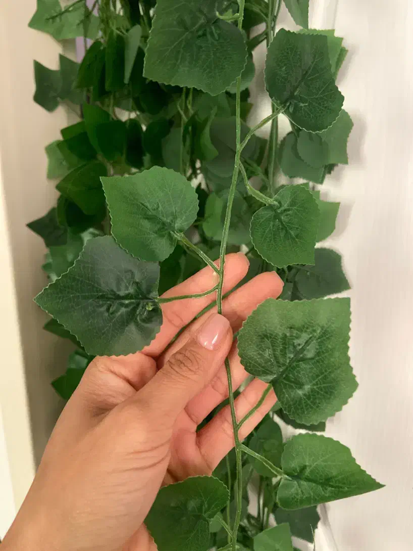 ریسه برگ پتوس، پاپیتال و برگ مو تزیینی|گل مصنوعی|تهران, جیحون|دیوار