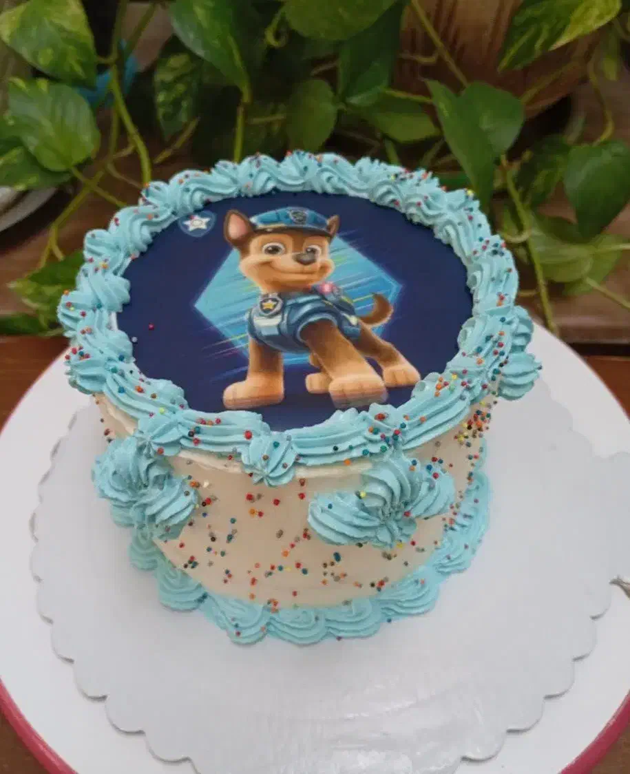 کیک و پودر کیک و حلوا در کلبه شاد وشیرین|خوردنی و آشامیدنی|شیراز, جوادیه|دیوار