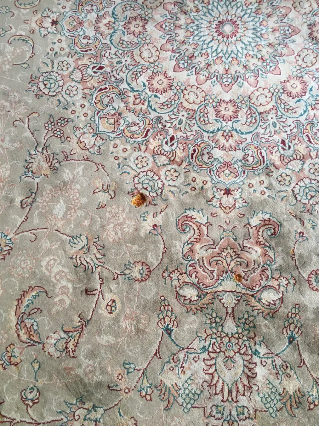 فرش ‌مبل پشتی|فرش|بومهن, |دیوار