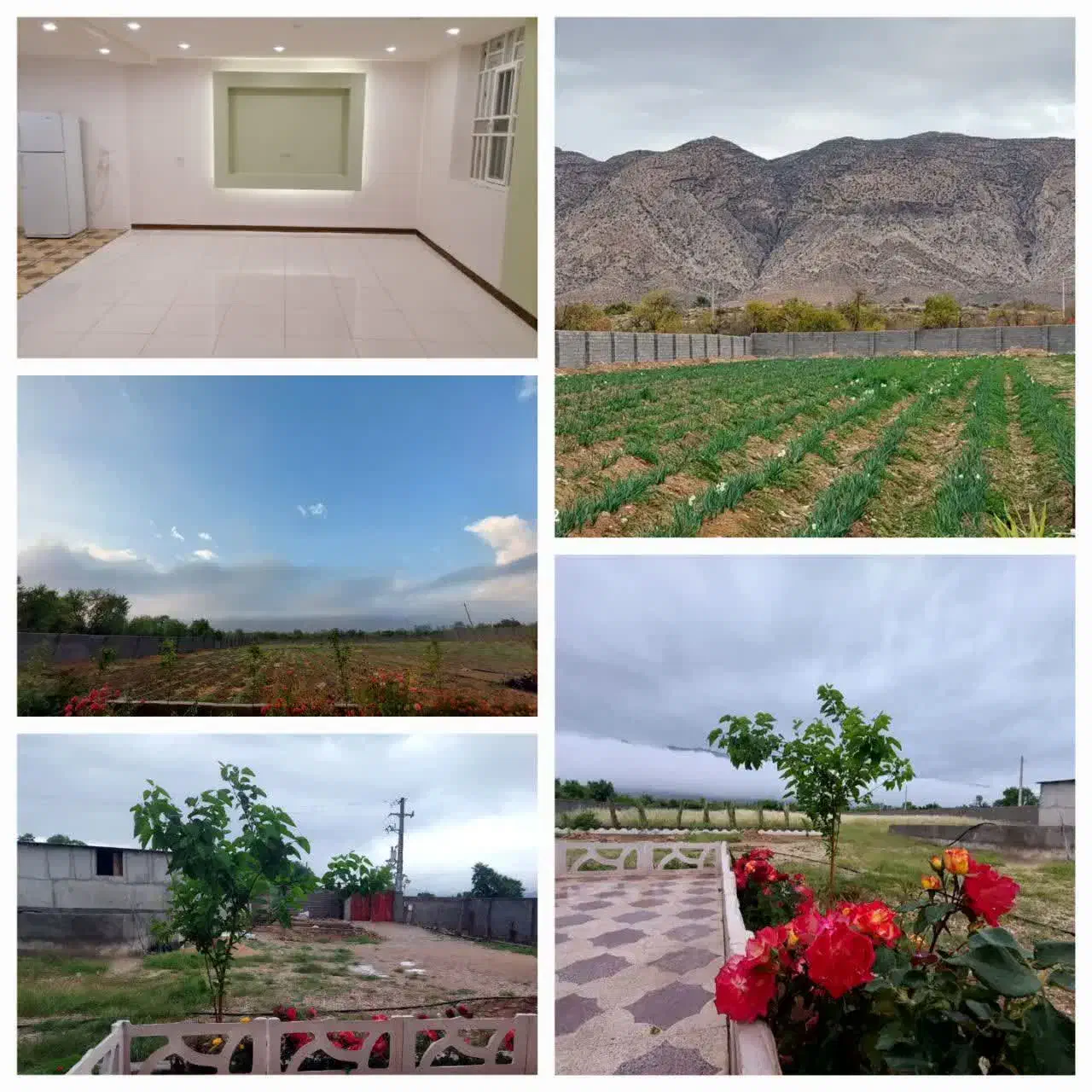 فرصت مناسب برای یک سرمایه گذاری بی نظیر|فروش دفتر صنعتی، کشاورزی، تجاری|خفر, |دیوار