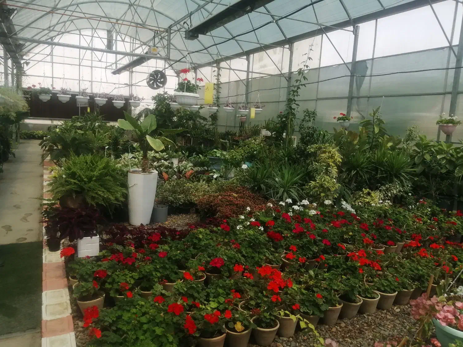 خاک باغچه غنی شده وکود حیوانی وماسه قلمه|خدمات باغبانی و درختکاری|مشهد, کوشک مهدی|دیوار