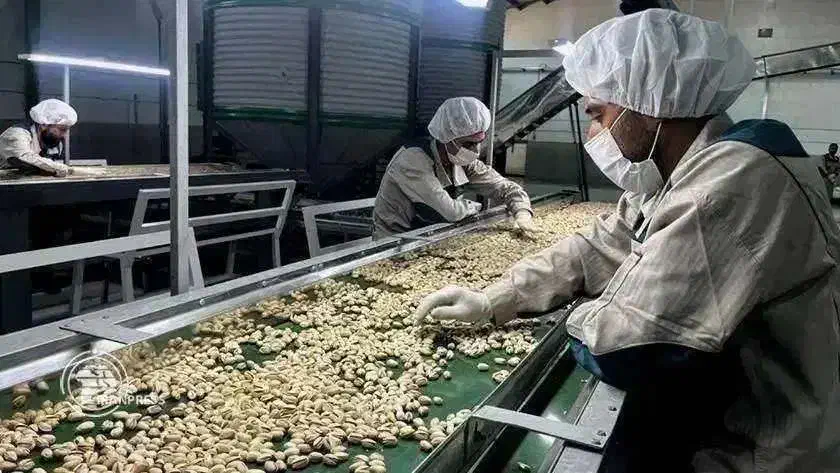 کارگر ساده با جای خواب و غذا (شرکت آجیل)|استخدام صنعتی، فنی، مهندسی|تهران, چیتگر جنوبی|دیوار