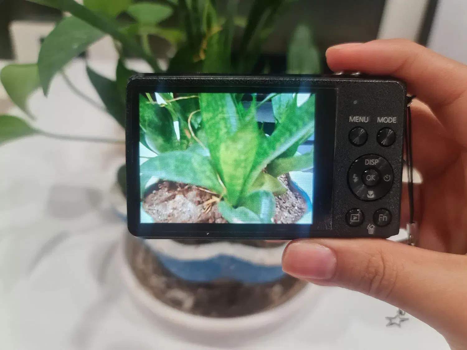 دوربین دیجیتال سامسونگ|دوربین عکاسی و فیلم‌برداری|قم, بکایی|دیوار