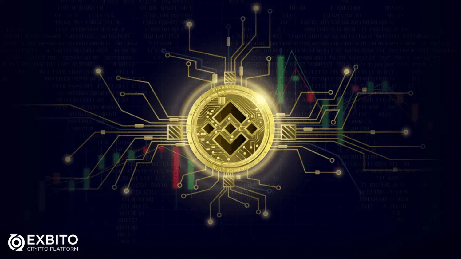 درامد دلاری مادتم العمر و پراعتبار|فعالیت داوطلبانه|شیراز, گویم|دیوار