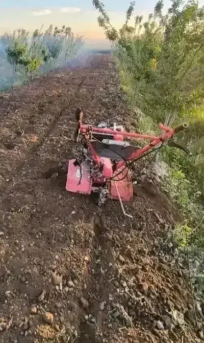 شخم زن|خدمات باغبانی و درختکاری|مرند, |دیوار