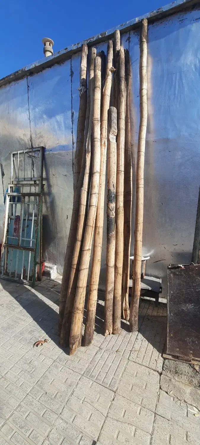 چوب درجه یک|عمده‌فروشی|کوهدشت, |دیوار