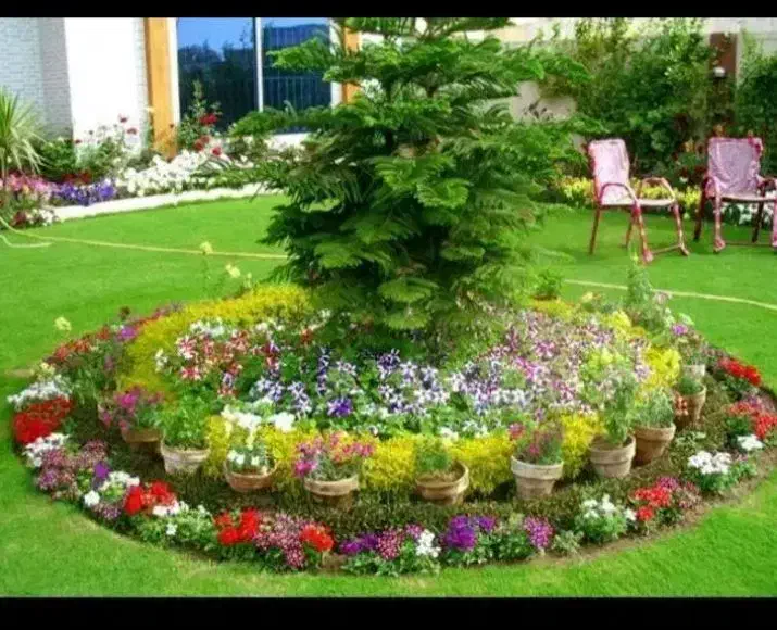 اجرا‌وامور‌باغبانی‌وفضای‌سبز|خدمات باغبانی و درختکاری|گرگان, |دیوار