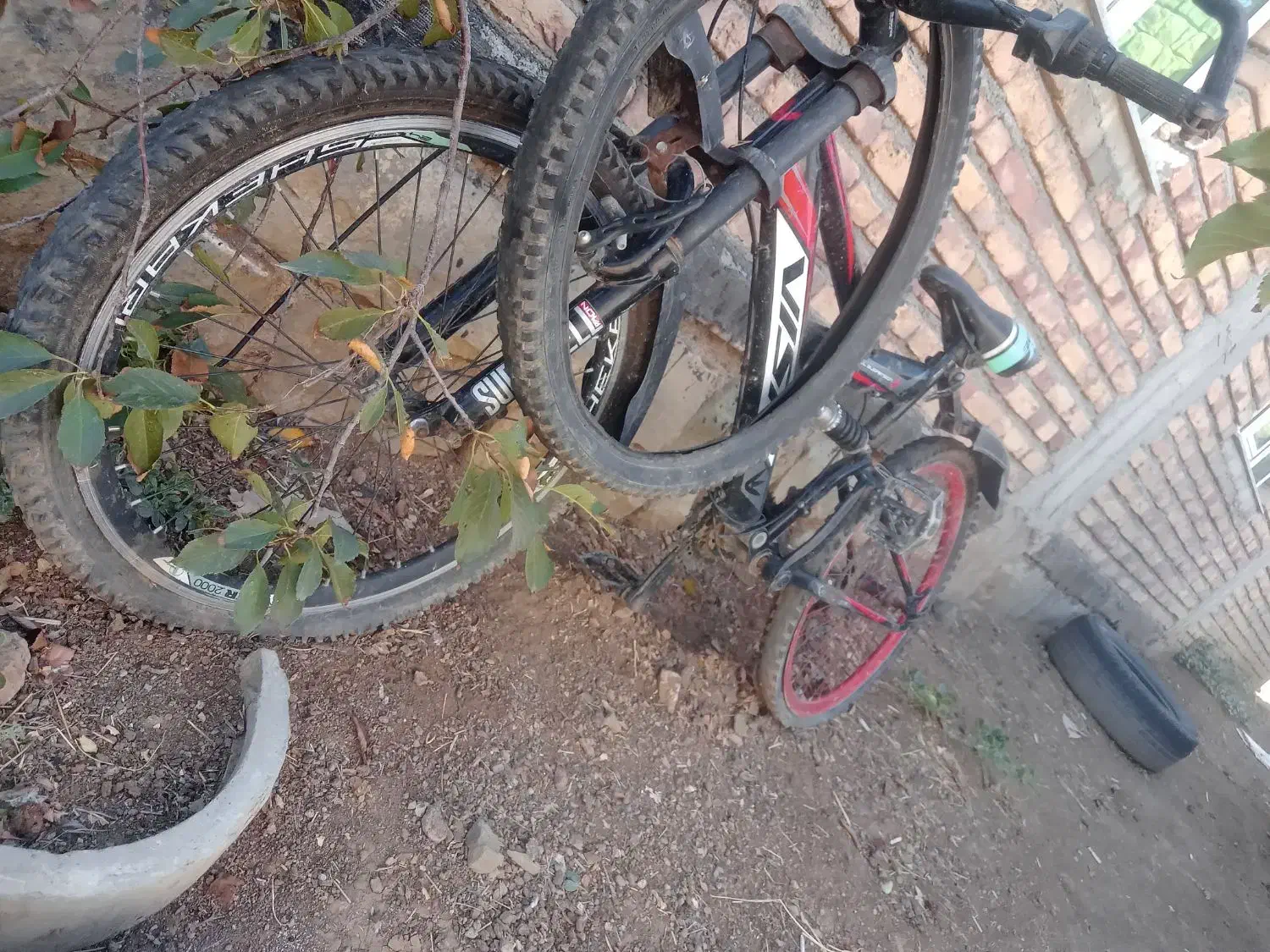 دوچرخه|دوچرخه، اسکیت، اسکوتر|گرمی, |دیوار