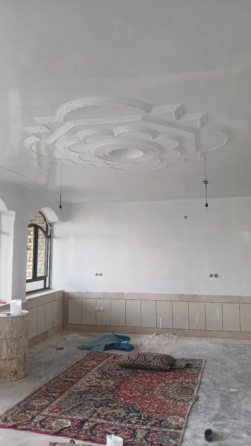 نقاشی ساختمان|خدمات پیشه و مهارت|لردگان, |دیوار