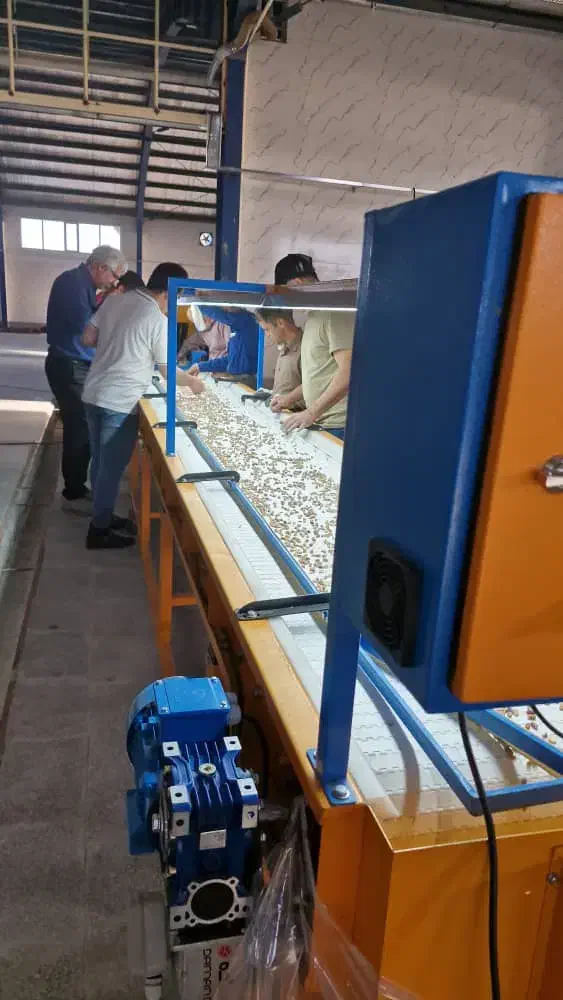 نوار دست چین گروه صنعتی سیفی|ماشینآلات صنعتی|رفسنجان, |دیوار