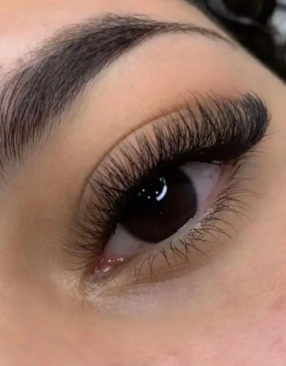 مدل کاشت مژه ۲۲۰|خدمات آرایشگری و زیبایی|فلاورجان, |دیوار