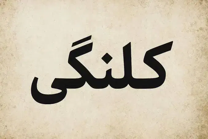 فروش خانه کلنگی|فروش زمین و ملک کلنگی|قم, صفائیه|دیوار