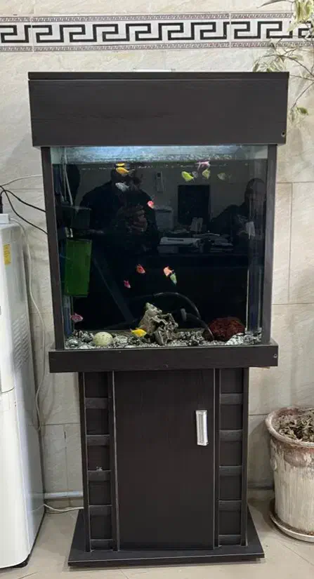 آکواریوم|ماهی|رباطکریم, حصار مهتر|دیوار