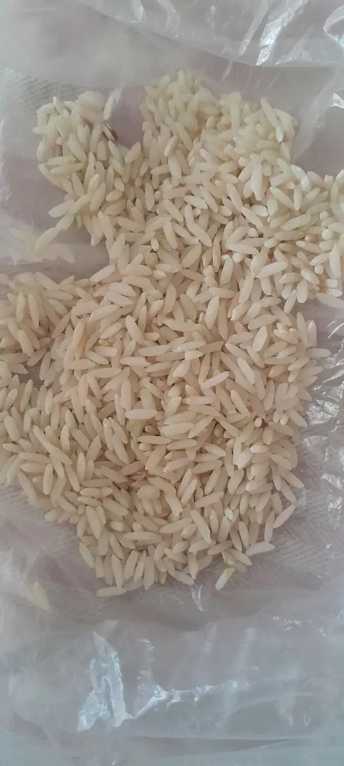 برنج سالم و نیمدانه|خوردنی و آشامیدنی|بروجرد, |دیوار