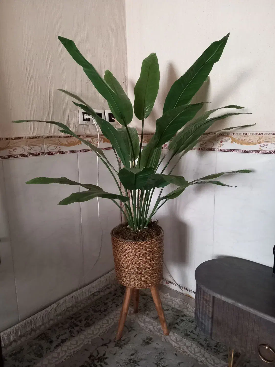 درختچه پرنده بهشتی ۱ونیم متر|گل مصنوعی|جوانرود, |دیوار