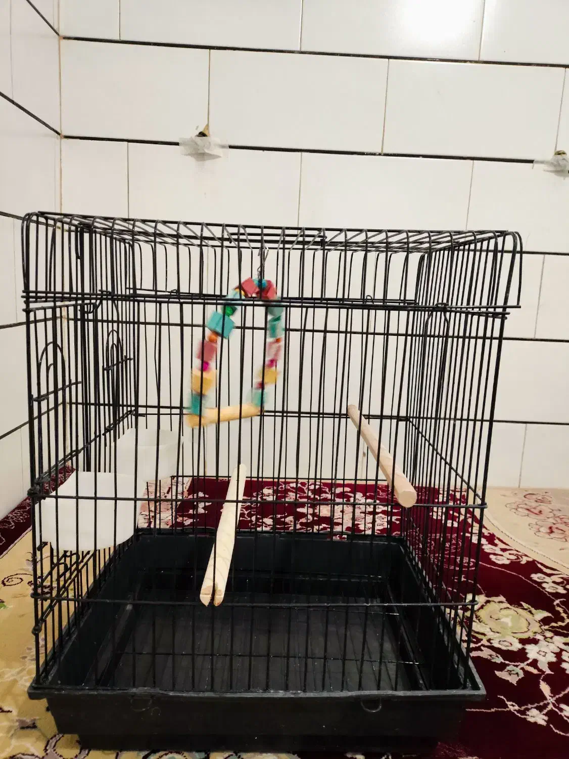 قفس پرنده بزرگ|لوازم جانبی حیوانات|قم, بقیع|دیوار