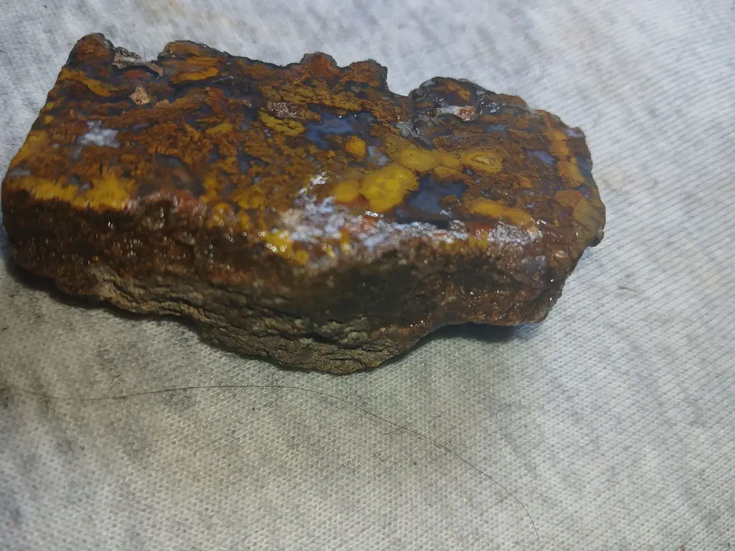 سنگ شجر|کلکسیون اشیاء عتیقه|کرمان, |دیوار