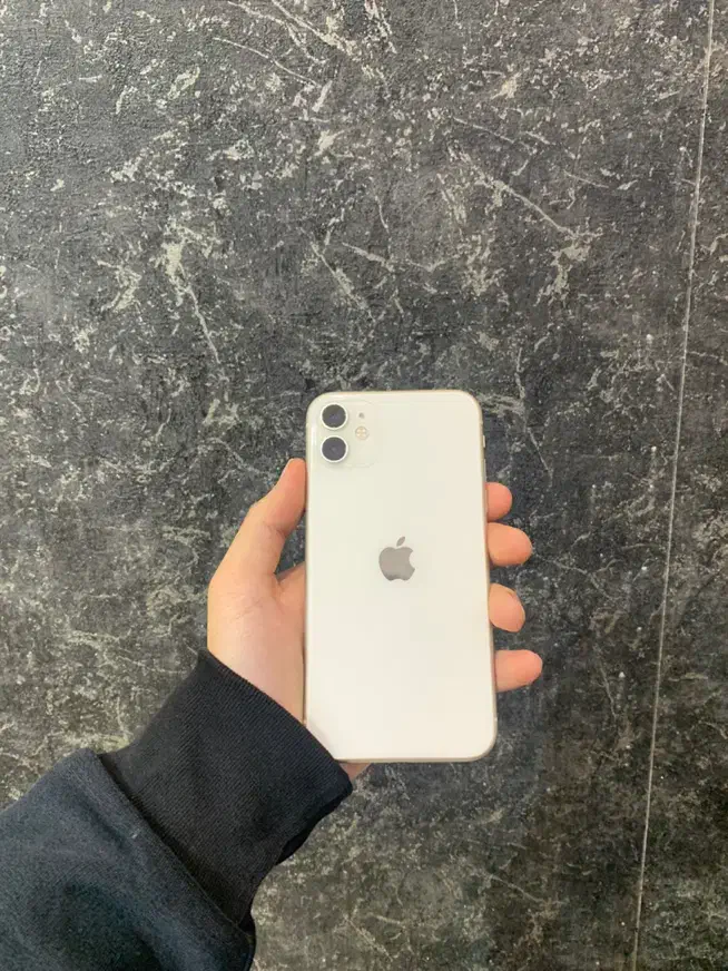 iPhone 11|موبایل|مشهد, سید رضی|دیوار
