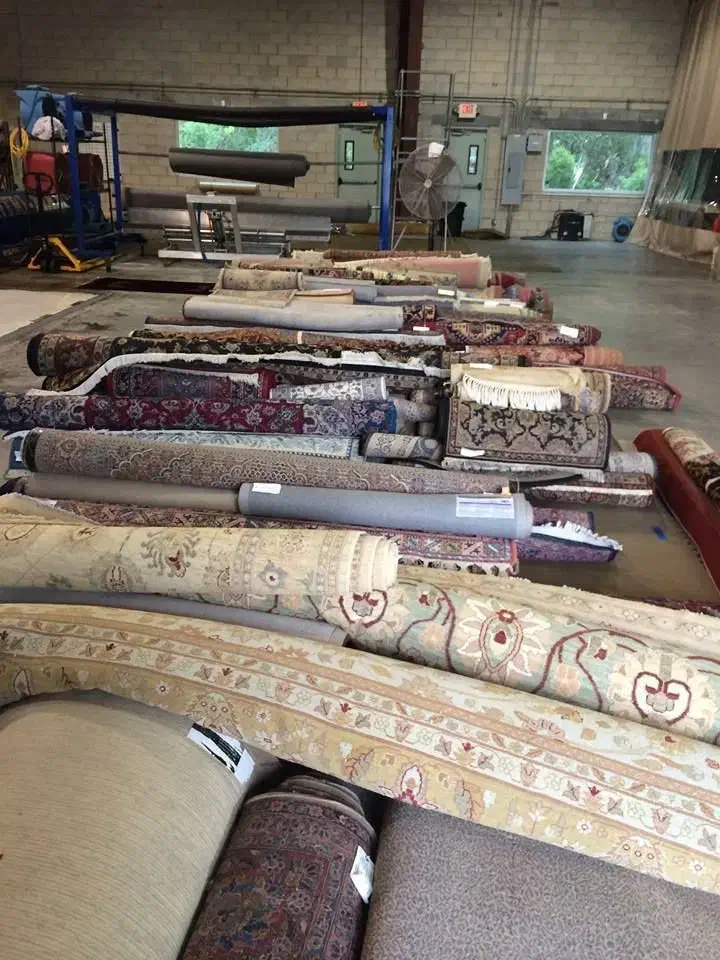 قالیشویی تمام اتوماتیک هما کرج|خدمات نظافت|کرج, باغستان|دیوار