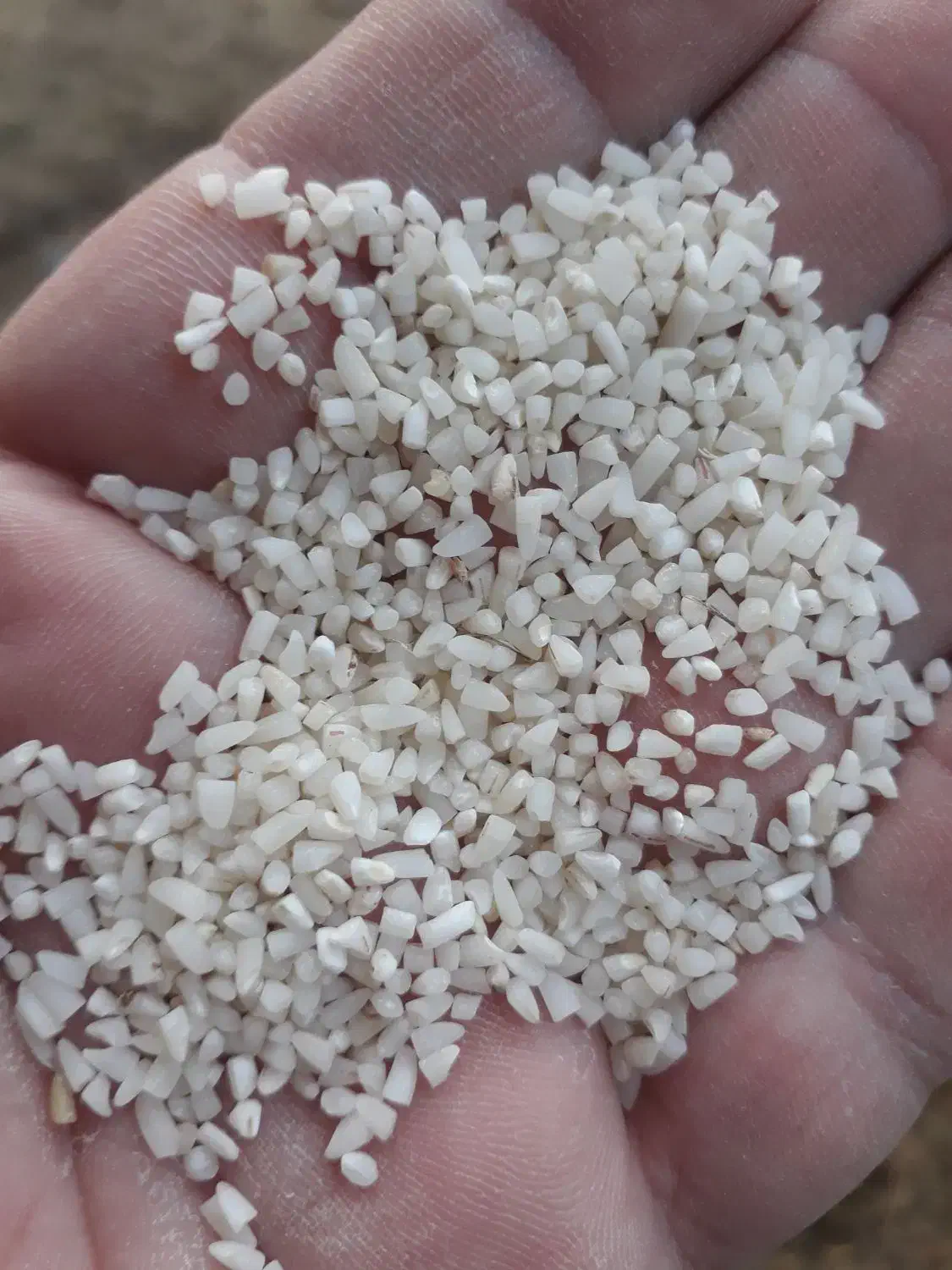 برنج نیمدانه هاشمی گیلان پاک شده و معطر با کیفیت|خوردنی و آشامیدنی|تهران, سازمان برنامه شمالی|دیوار