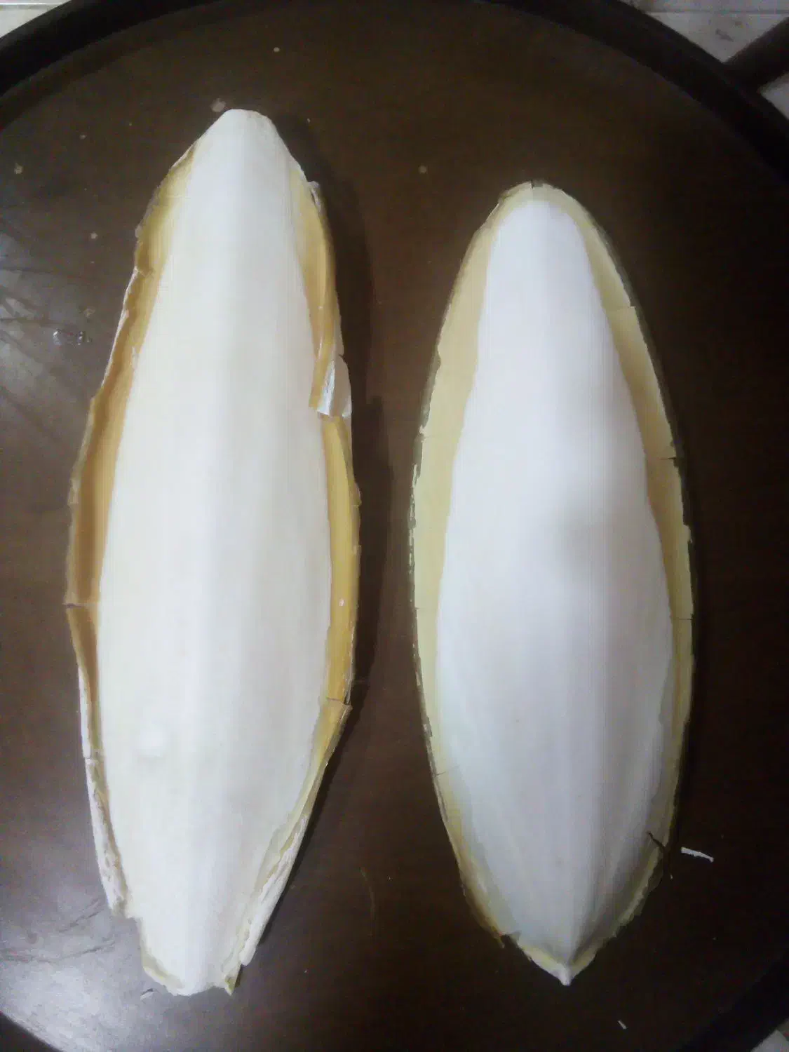 کف دریا|لوازم جانبی حیوانات|تهران, مولوی|دیوار