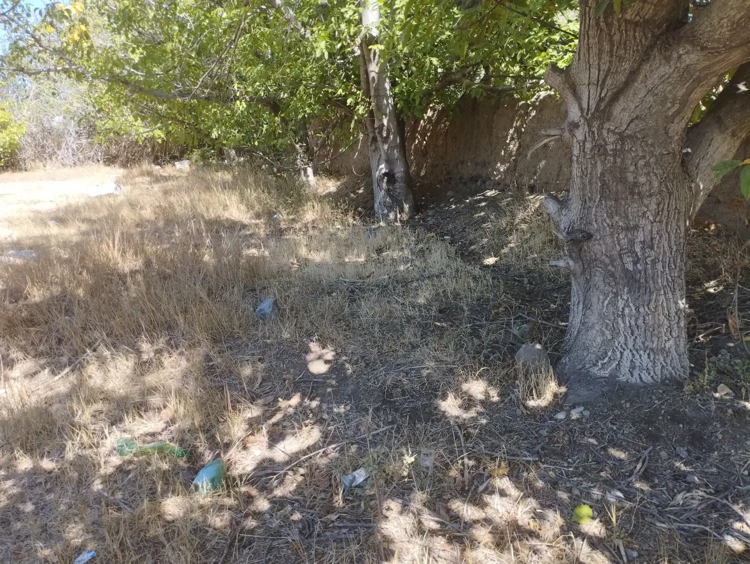 باغچه داخل بافت با مجوزساخت|فروش زمین و ملک کلنگی|ارشق, |دیوار