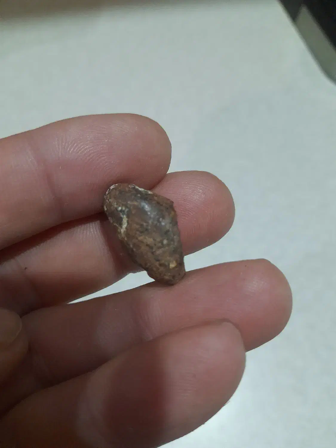 شهاب سنگ واقعی|کلکسیون اشیاء عتیقه|آبیک, |دیوار