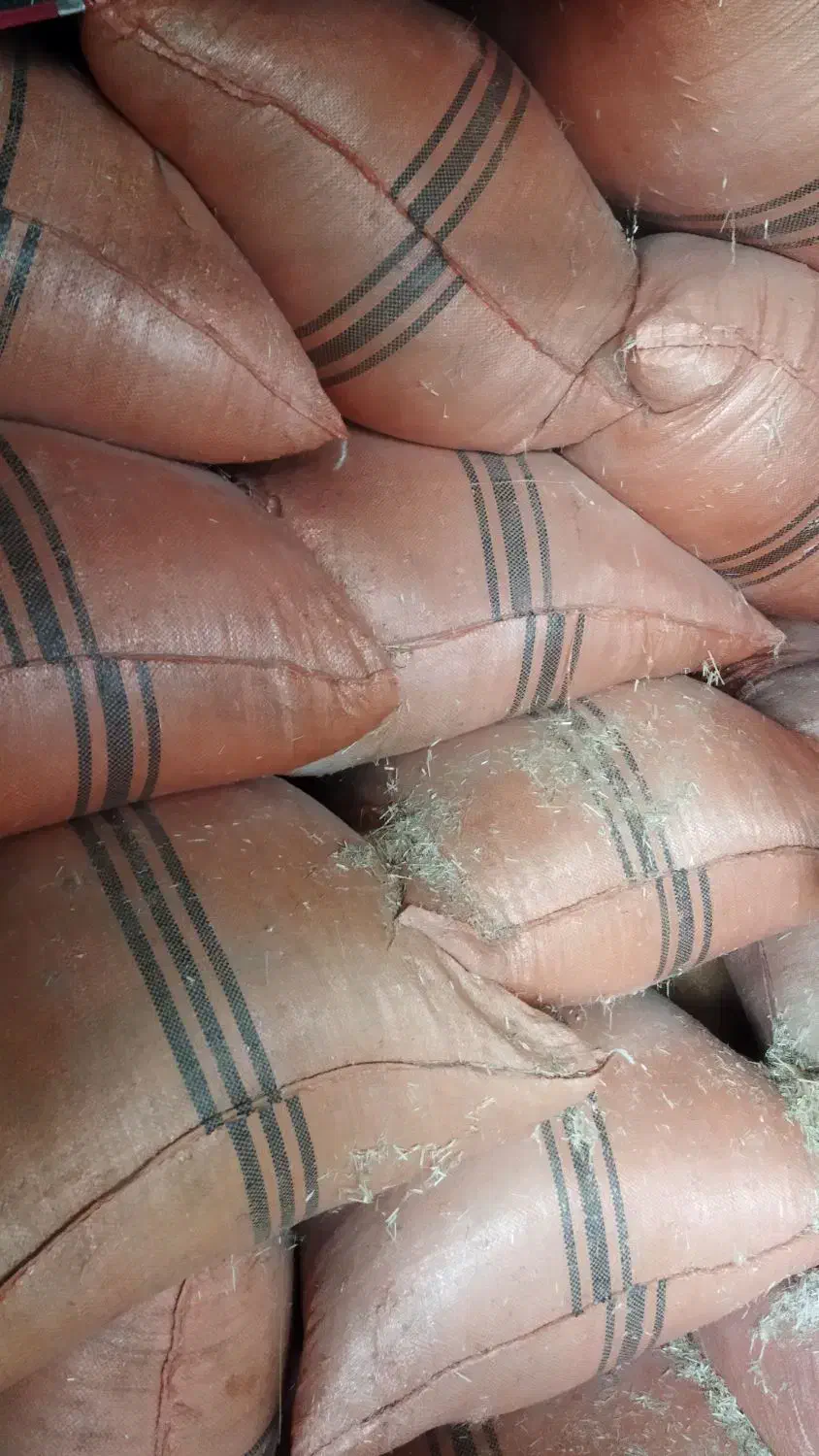 کاه|لوازم جانبی حیوانات|رامهرمز, |دیوار