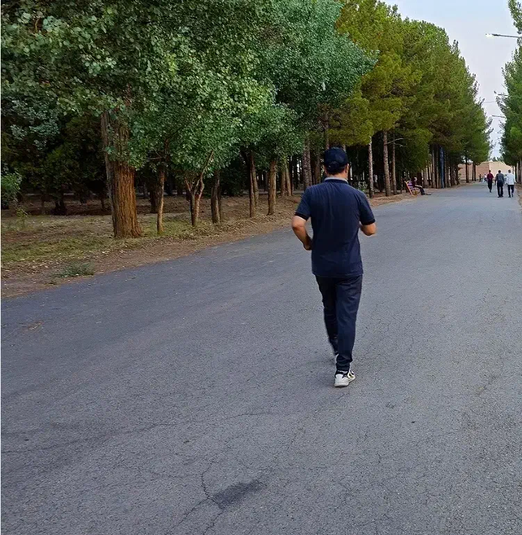 راهنمایی|کلکسیون و سرگرمی|اراک, |دیوار