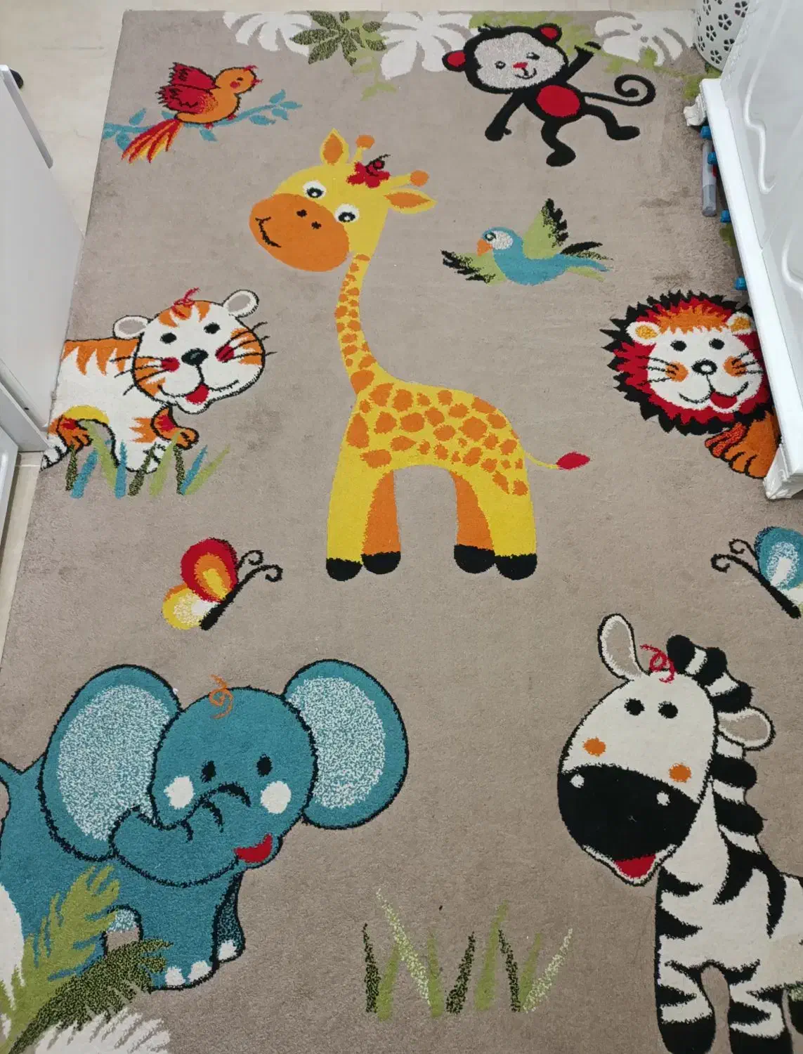 فرش اتاق کودک|فرش|پرند, فاز ۳|دیوار