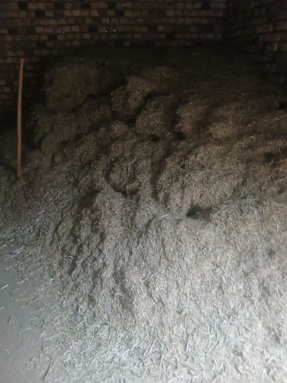 کاه|لوازم جانبی حیوانات|سیلاخور, |دیوار