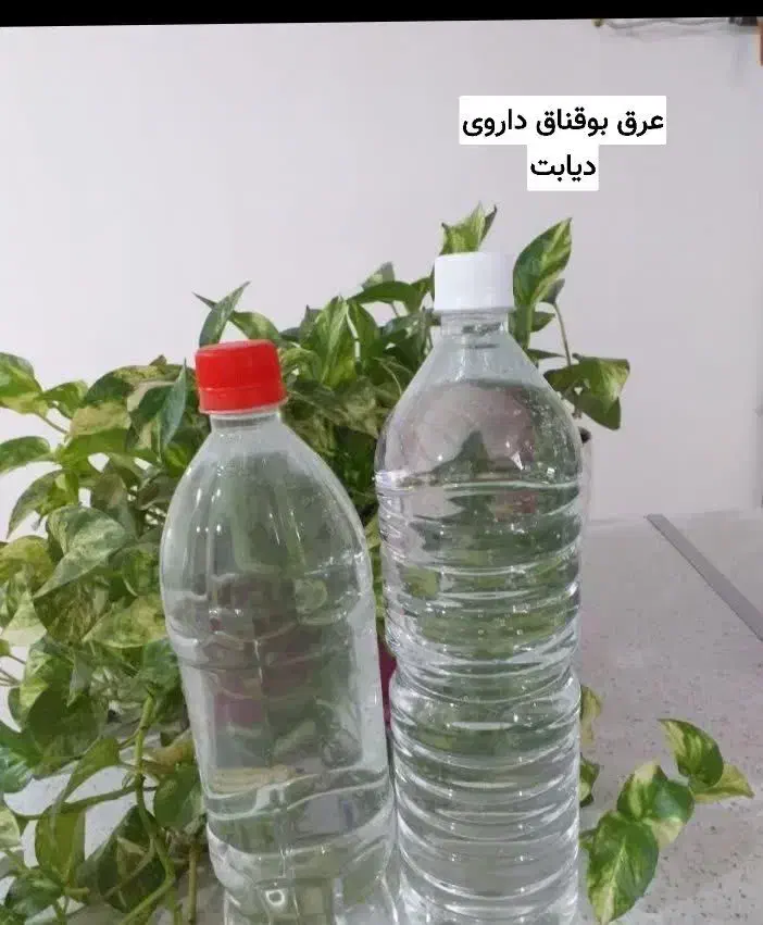 میخواهی کبد چرب ،یبوست را راحت درمان کنی|خوردنی و آشامیدنی|لردگان, |دیوار