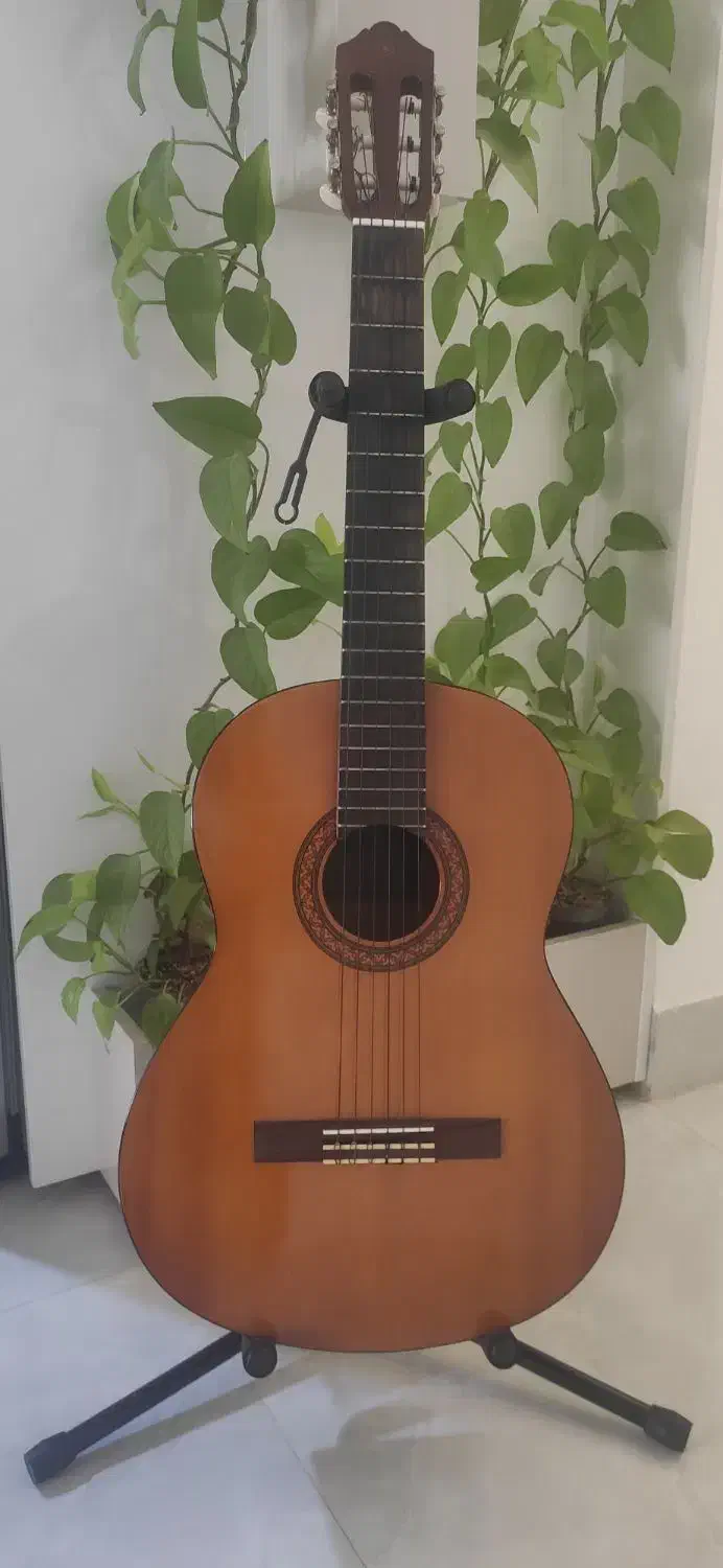 گیتار C40 به همراه کیف و پایه و سیم اضافه|گیتار، بیس، امپلیفایر|آران و بیدگل, |دیوار