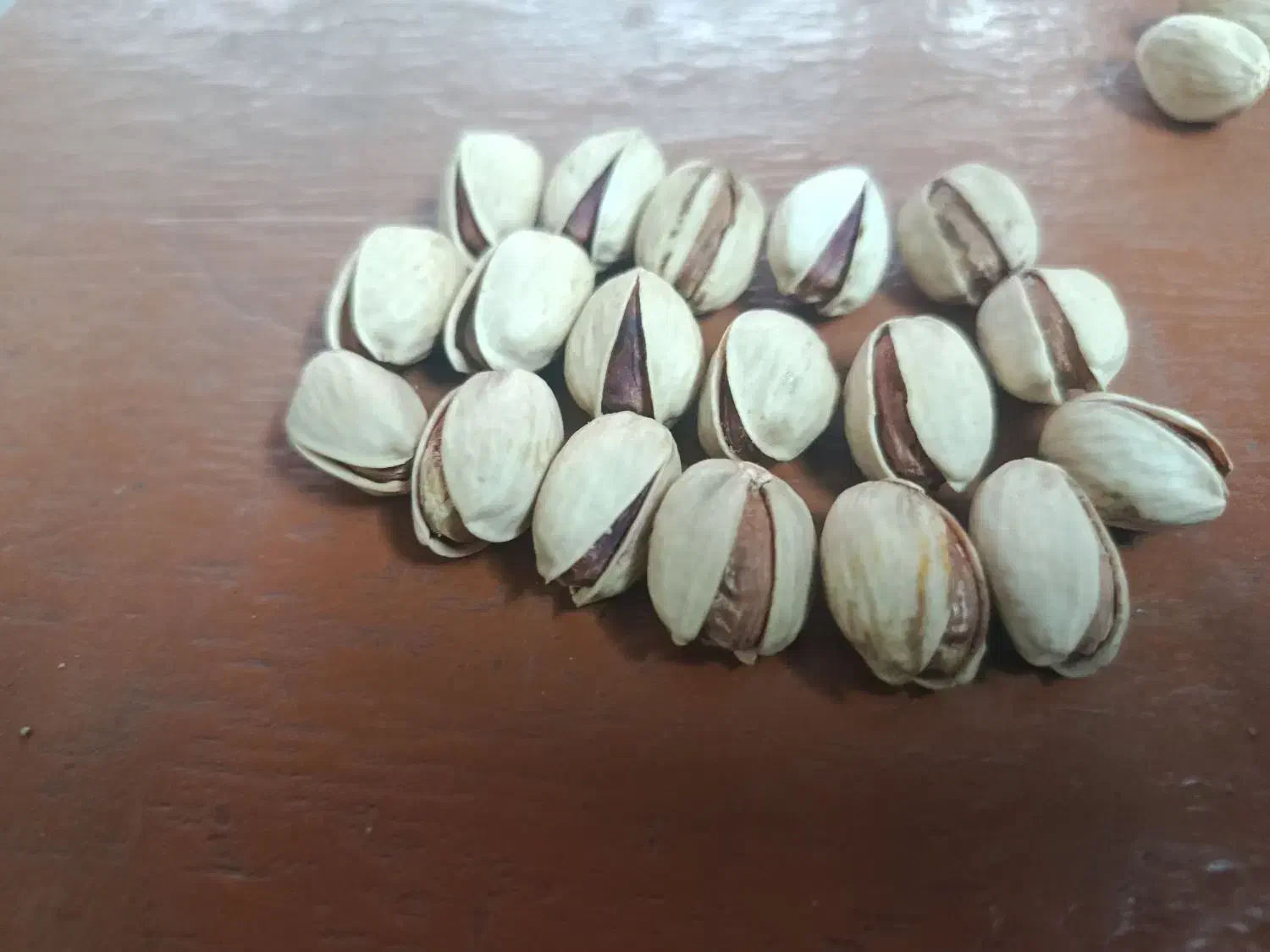 پسته شمارا به بالاترین قیمت خریداریم|خدمات باغبانی و درختکاری|تربت جام, یحیی آباد|دیوار