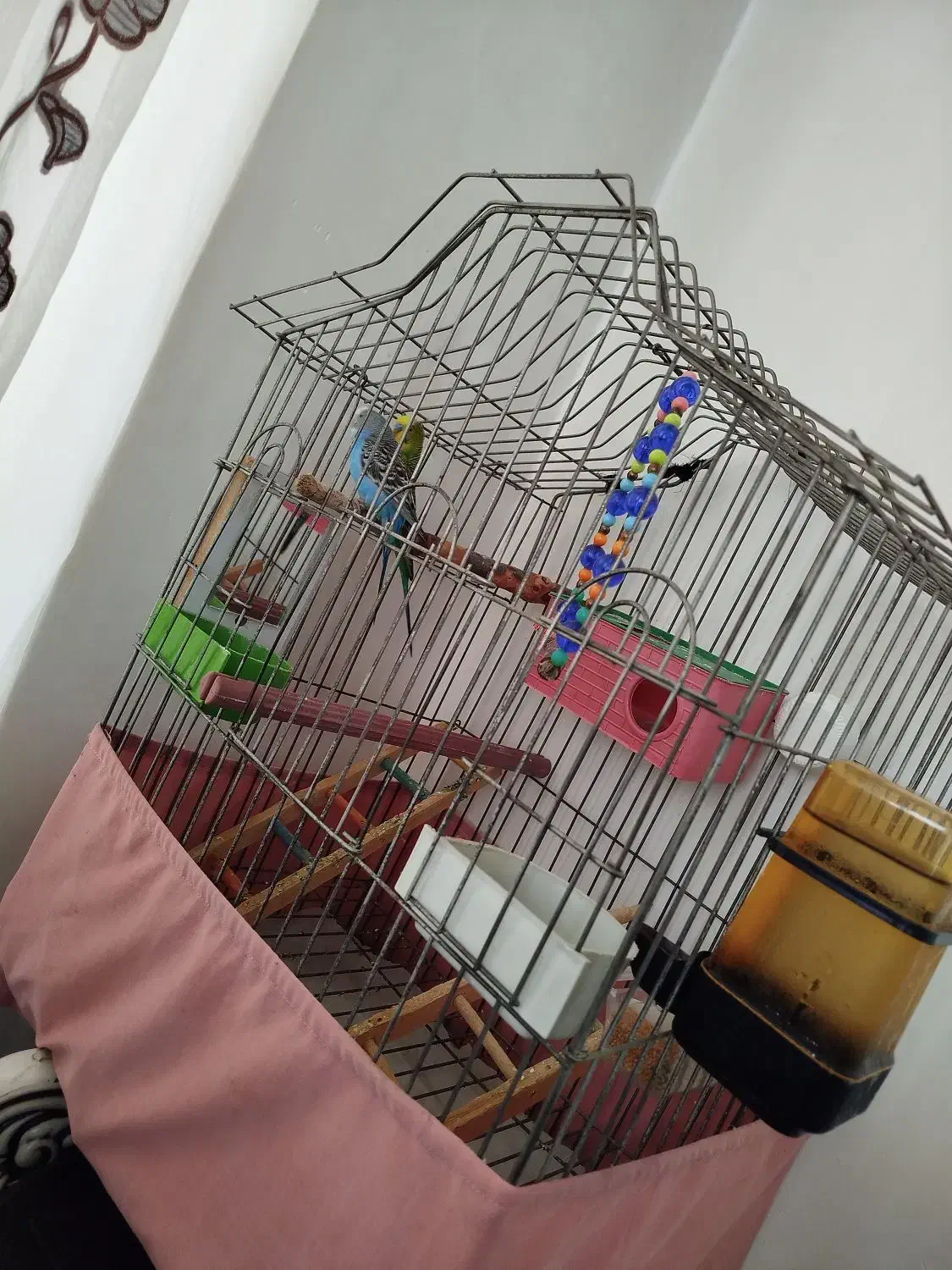 این قفس به فروش میرسد|لوازم جانبی حیوانات|جوانرود, |دیوار