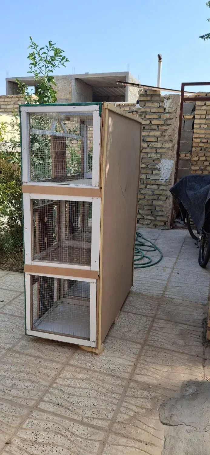 قفس خیلی حرفه ای شیک|لوازم جانبی حیوانات|مهریز, |دیوار