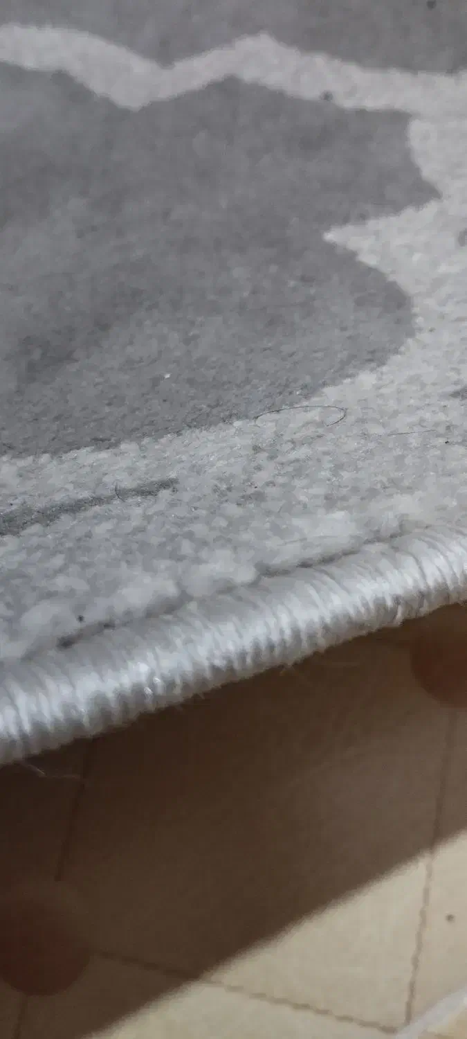 فرش شش متری ساوین|فرش|رشت, کوی حسینی|دیوار