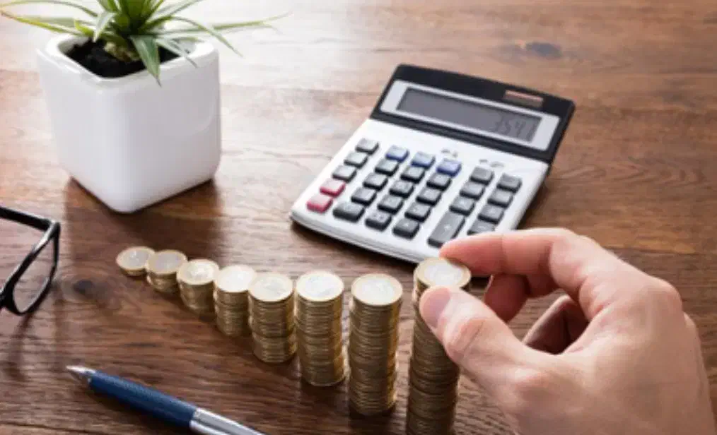 یک نفردرامد در خانه (معلولین)(خانوم های خانه دار)|استخدام رایانه و فناوری اطلاعات|ارومیه, |دیوار