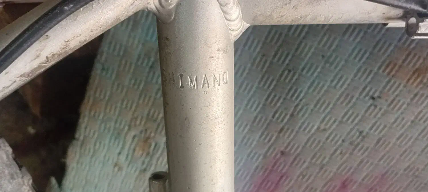 دوچرخه ویوا|دوچرخه، اسکیت، اسکوتر|محمدشهر, کوی بهار|دیوار