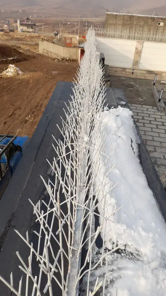 حفاظ شاخ گوزنی سهیلیه تهراندشت هشتگرد کرج|خدمات پیشه و مهارت|هشتگرد, هشتگرد قدیم|دیوار