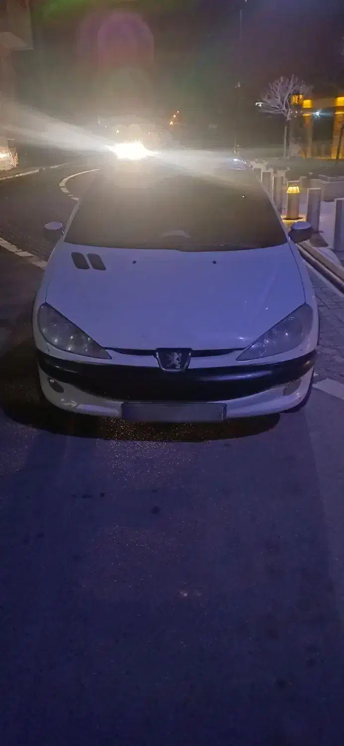 ۲۰۶|خودرو سواری و وانت|رفسنجان, |دیوار