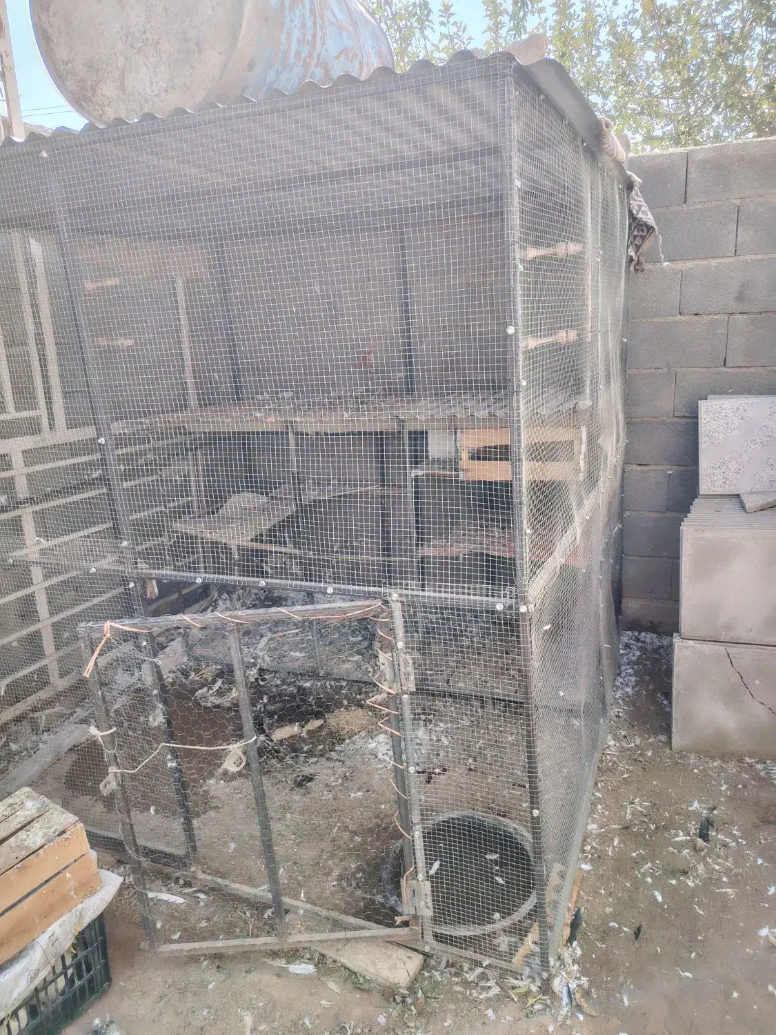 قفس آهنی|لوازم جانبی حیوانات|دهاقان, |دیوار