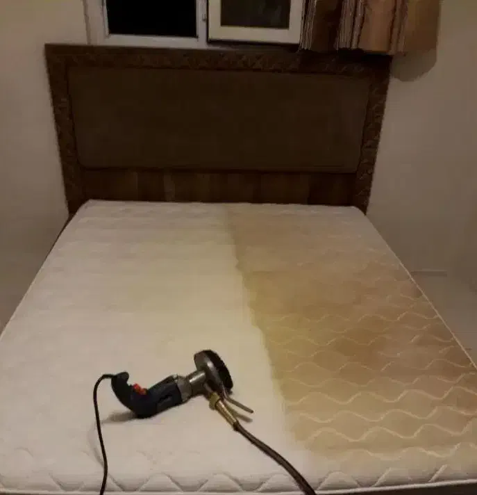 مبلشویی مبل شویی تضمینی بامواد نانو شستشوی مبل|خدمات نظافت|بندرعباس, |دیوار